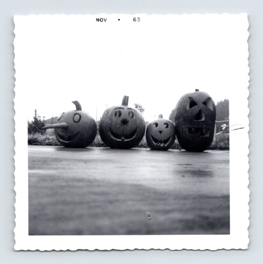 Halloween jack o lantern pumpkins row outdoor 1963 vintage snapshot photo 3.5 x 3.5