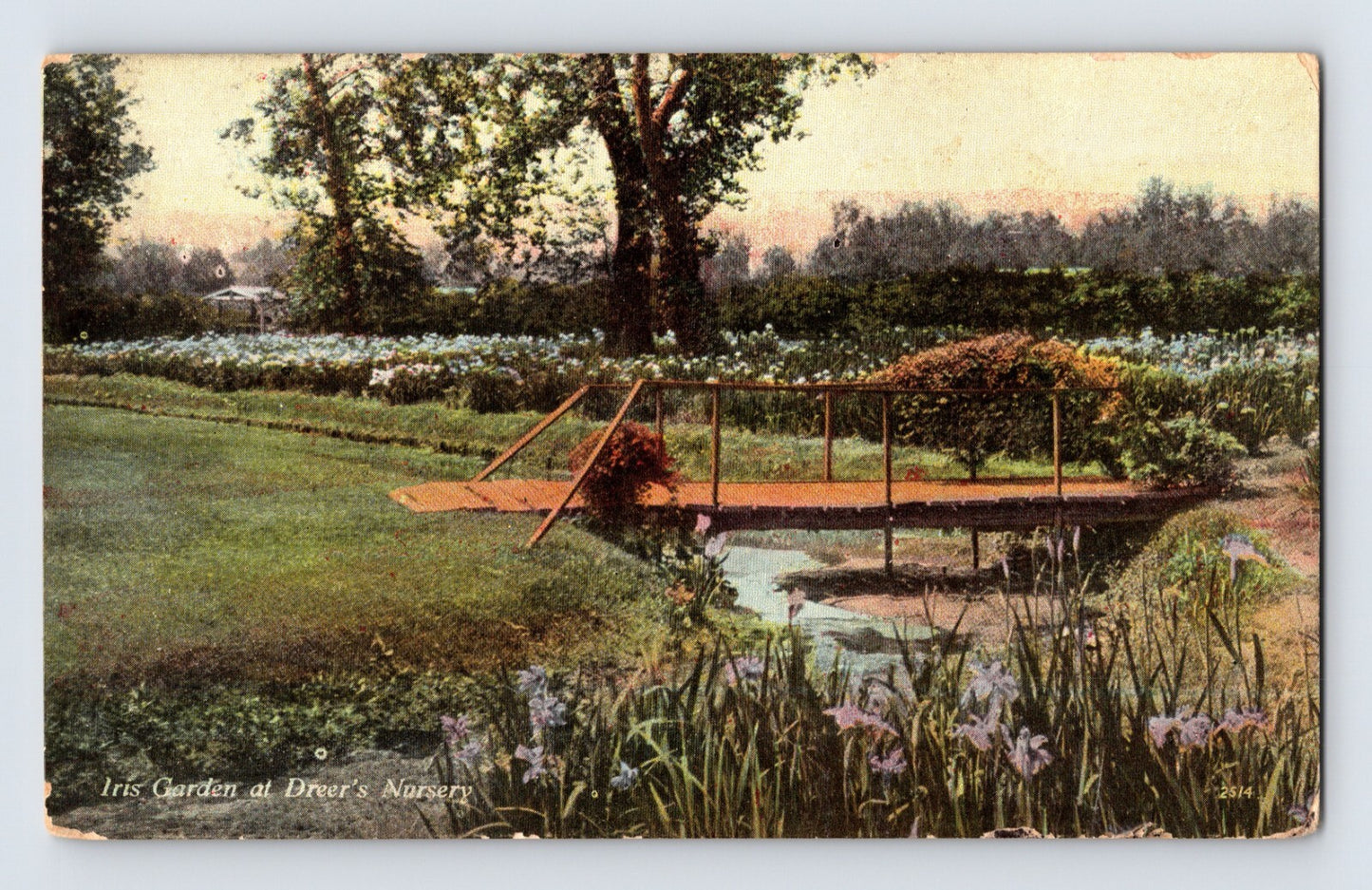 Philadelphia Pennsylvania Dreers Nursery iris garden footbridge landscape 1910s postcard