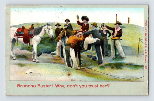 Old West cowgirl bronco buster scene with horse and riders 1909 postcard