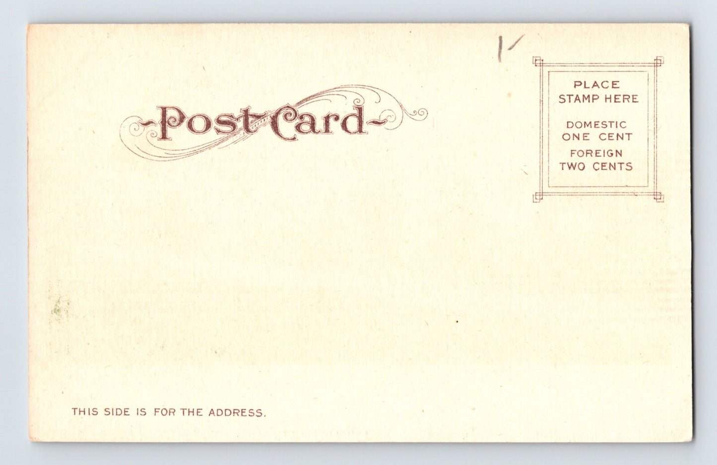 Stanford University Palo Alto California Museum Pre 1907 Postcard Unposted