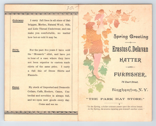 Erastus C Delavan Binghamton New York 1890s Hatter Furnisher Trade Card