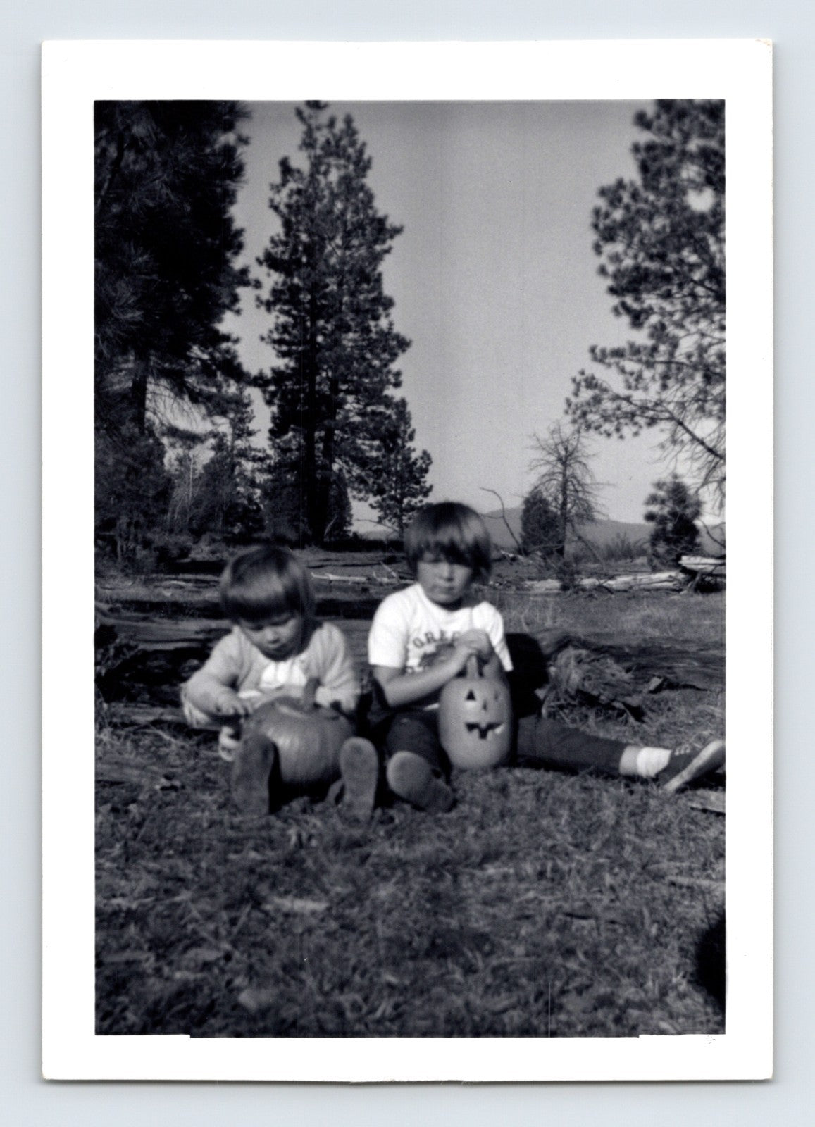Vintage Halloween photo children carving pumpkins outdoors forest setting 1950s snapshot jack o lanterns rustic scene 5 x 3.5