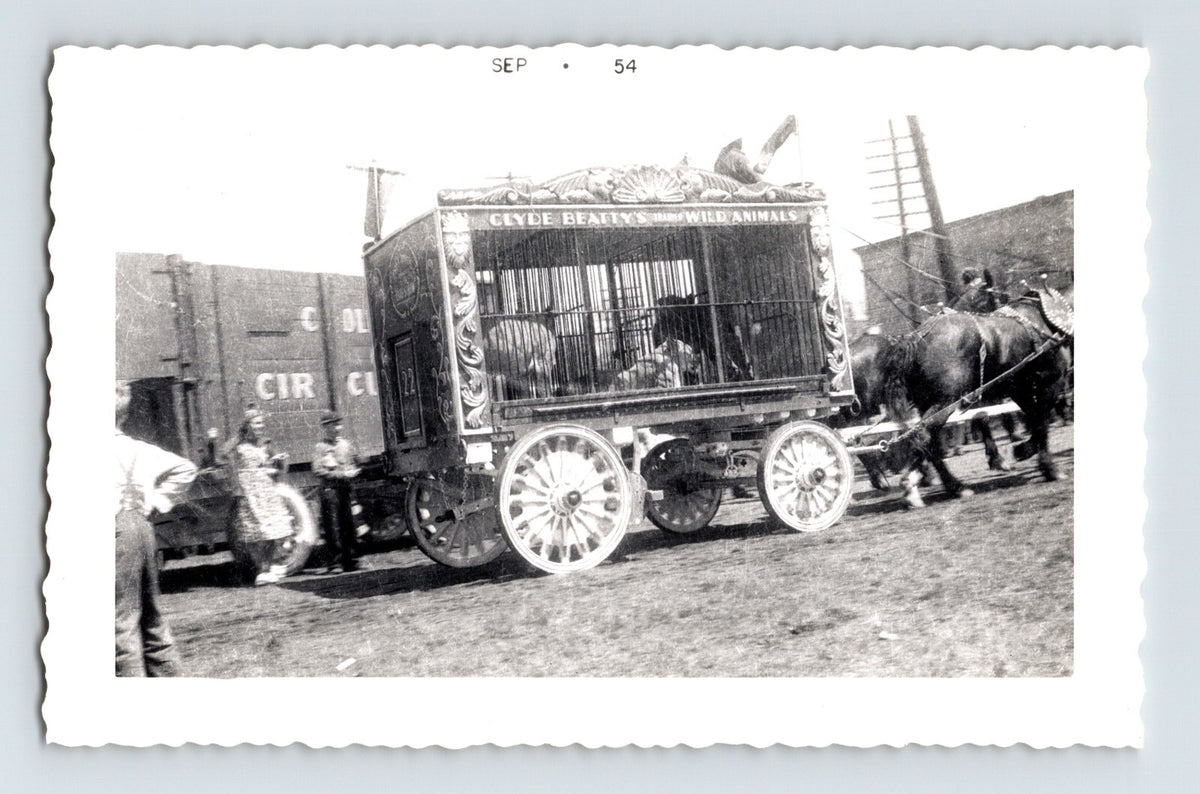 Clyde Beatty Circus 1954 photo animal cage wagon horses circus train yard scene