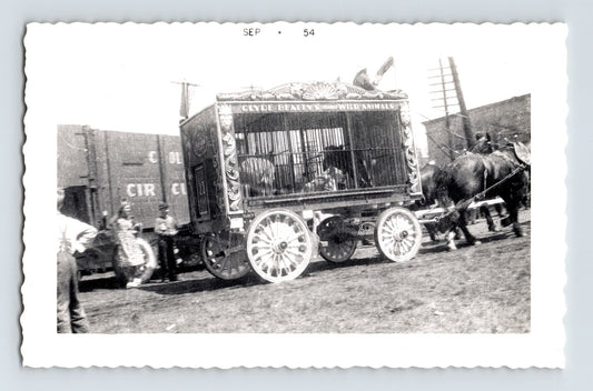 Clyde Beatty Circus 1954 photo animal cage wagon horses circus train yard scene