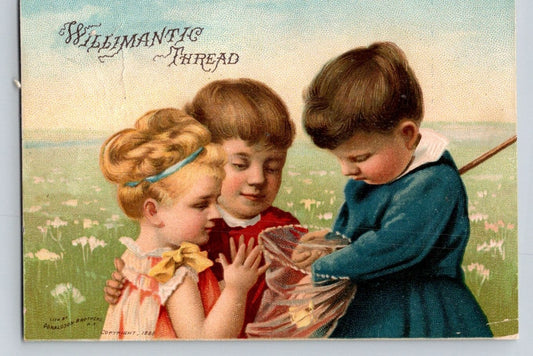 Willimantic Sewing Thread Children Butterfly Net 1890s Trade Card - 4 x 3