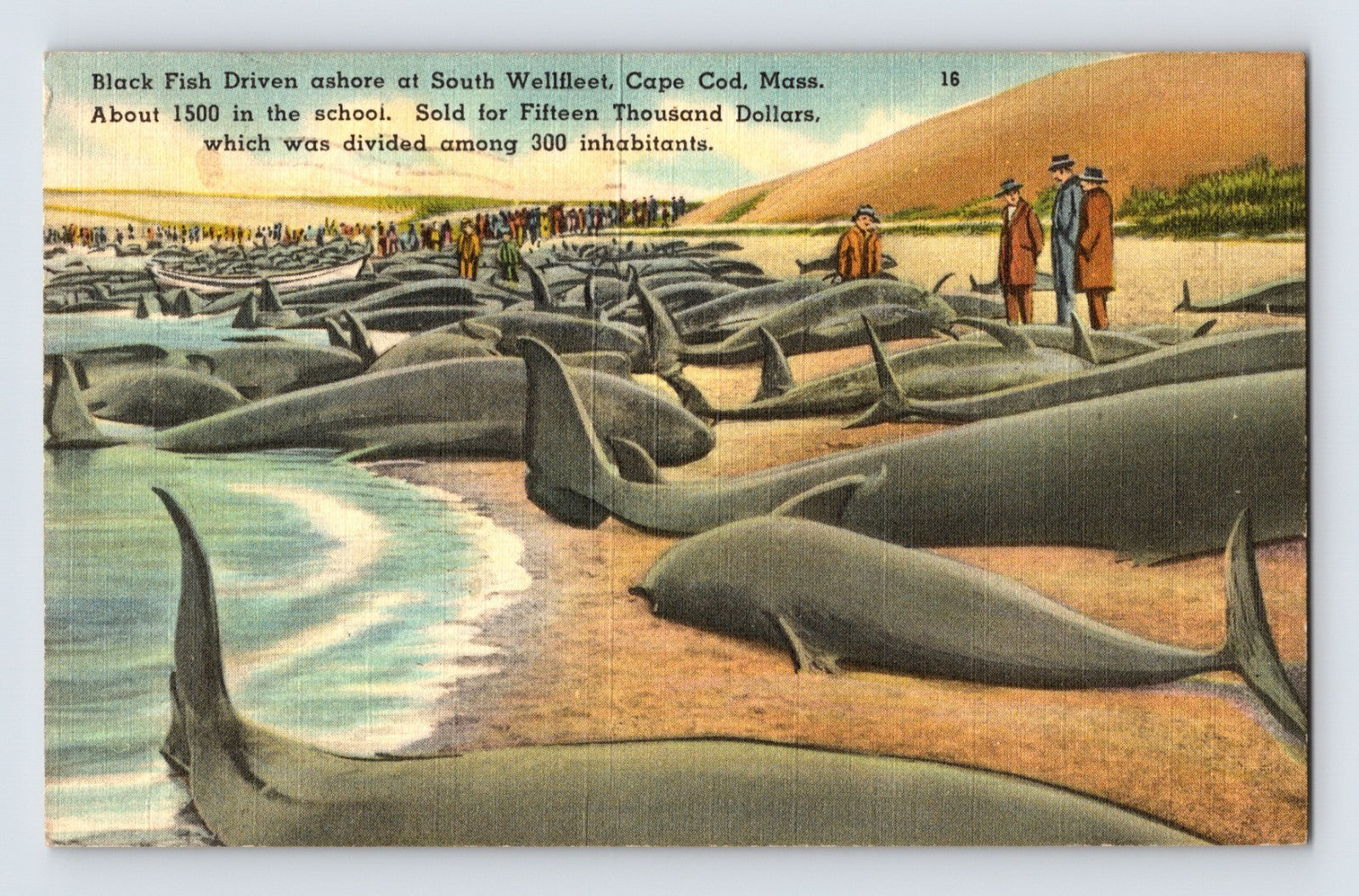 Illustration of blackfish whales stranded on beach at South Wellfleet Cape Cod Massachusetts with townspeople gathered along shoreline.