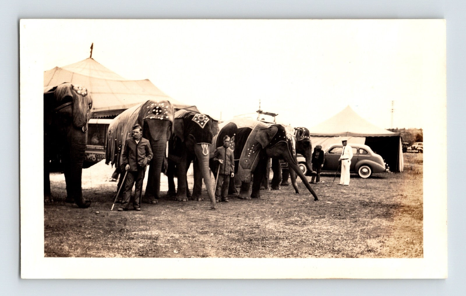 Clyde Beatty Circus 1940s elephants in costume lined up near tent handlers photo