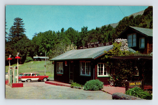 Big Sur California Ripplewood Resort gas pumps Chrysler station wagon 1960s roadside postcard