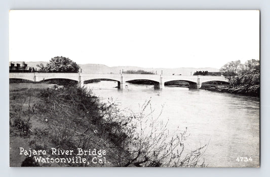 Watsonville California Pajaro River Bridge multi span concrete bridge river view 1910s postcard
