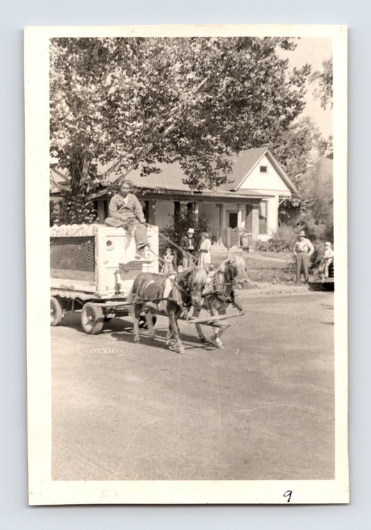 King Bros Cristiani Circus 1950s photo pony team pulling animal cage wagon Helena Arkansas