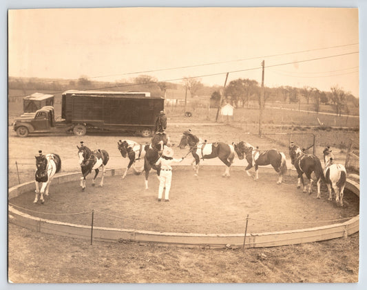 Bud Anderson Liberty Act Show 1940s Photo Circus Horses 8 x 10