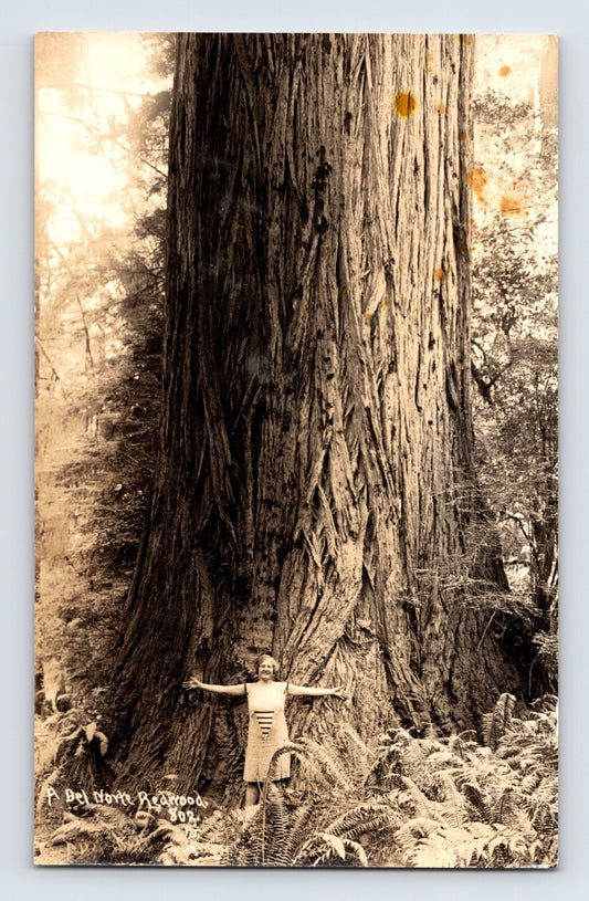 California Redwood Highway Del Norte Woman Pose 1930s RPPC Postcard Unposted