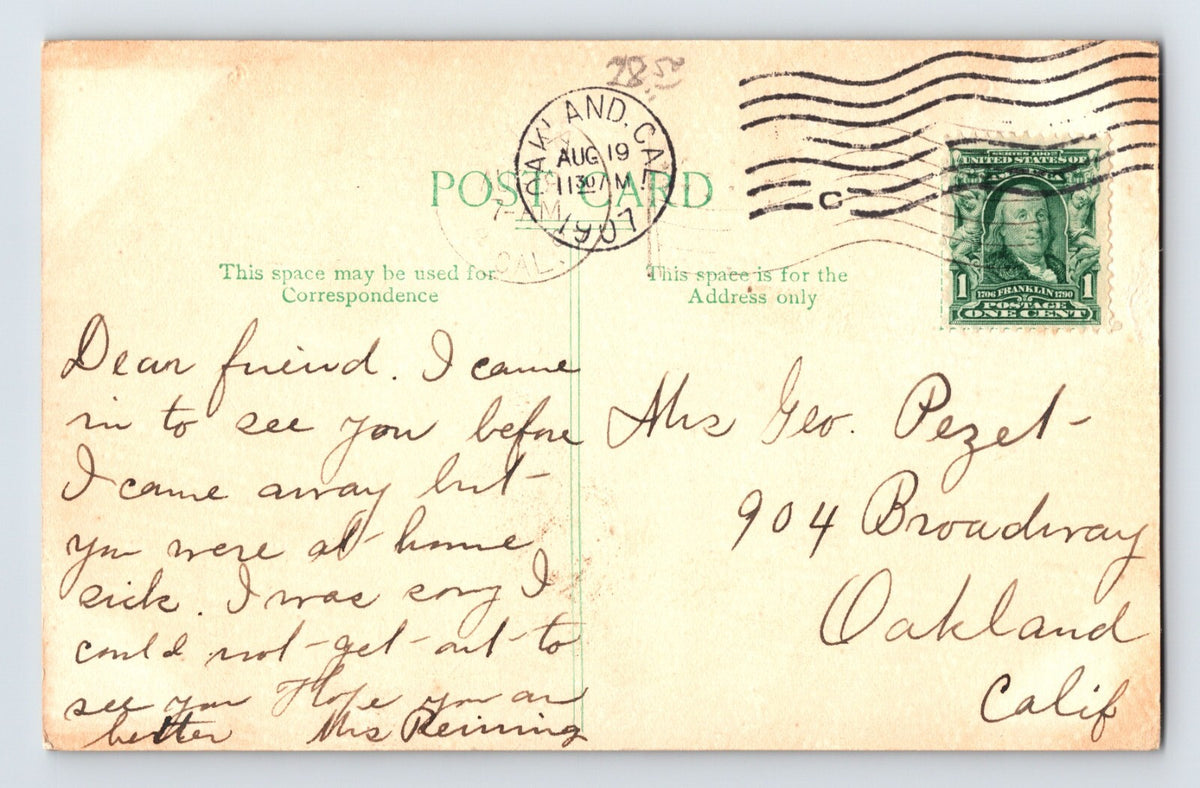 Napa California Goodman Library 1907 Postcard Posted Hand Colored