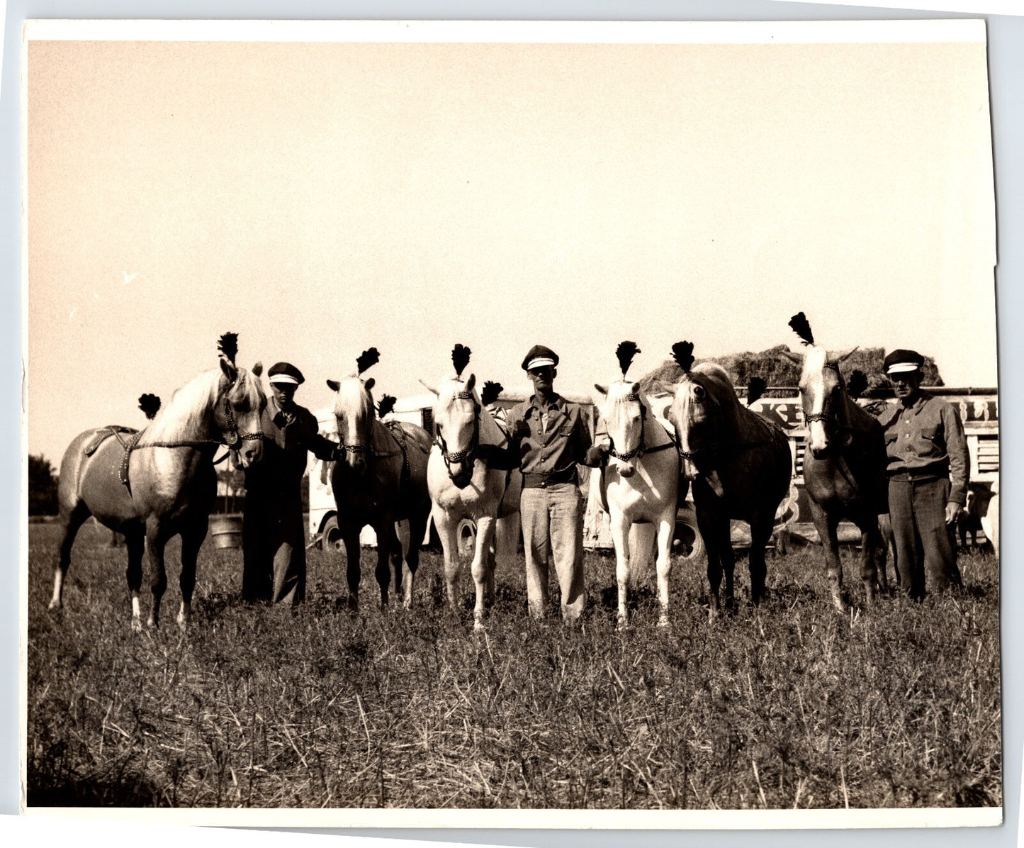 Kelly Miller Circus 1950 Photo Liberty Act Horses Patriotic 8 x 10