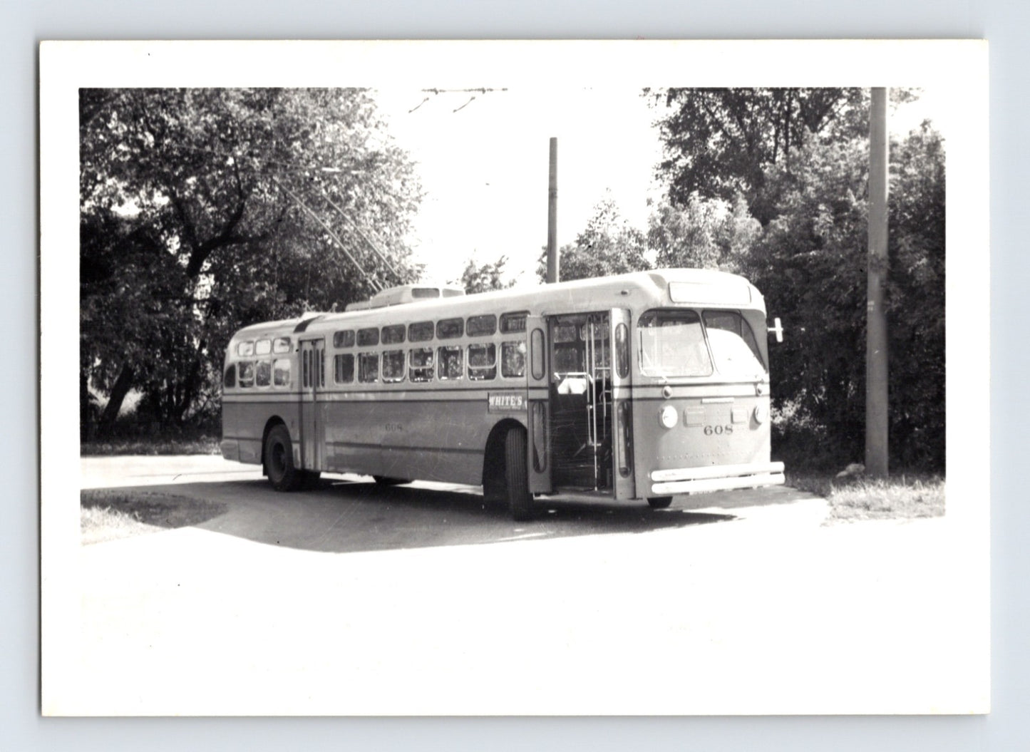 Black and white photograph of Philadelphia trolley bus number 608 signed Whitehall with twin trolley poles raised, stopped along a tree-lined street.