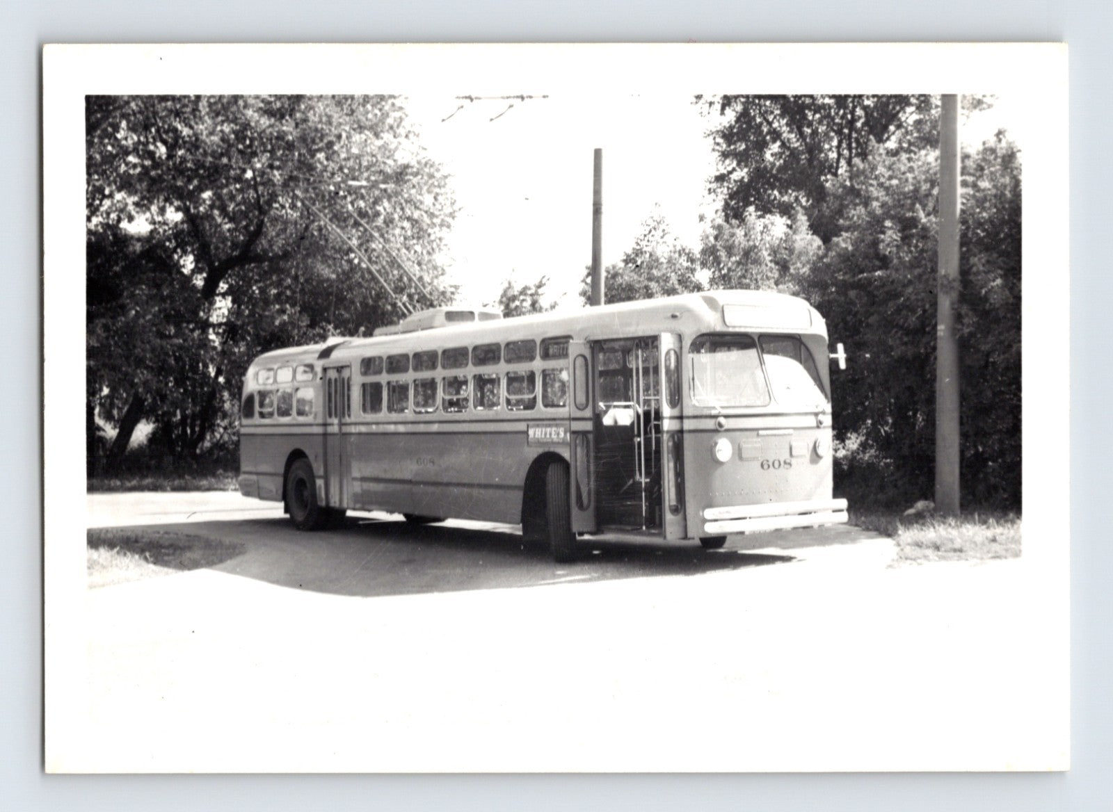 Black and white photograph of Philadelphia trolley bus number 608 signed Whitehall with twin trolley poles raised, stopped along a tree-lined street.