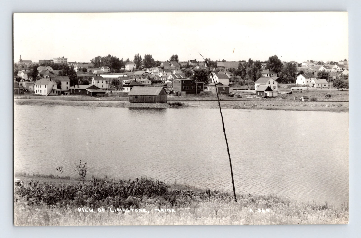 Limestone Maine shoreline view across calm water toward small town buildings 1950s real photo postcard