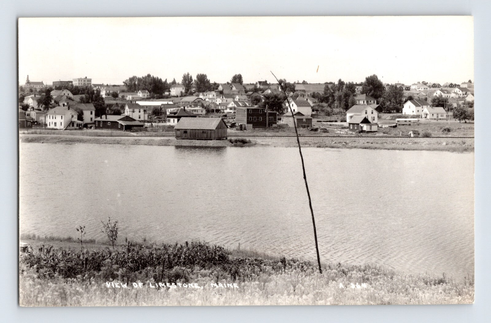 Limestone Maine shoreline view across calm water toward small town buildings 1950s real photo postcard
