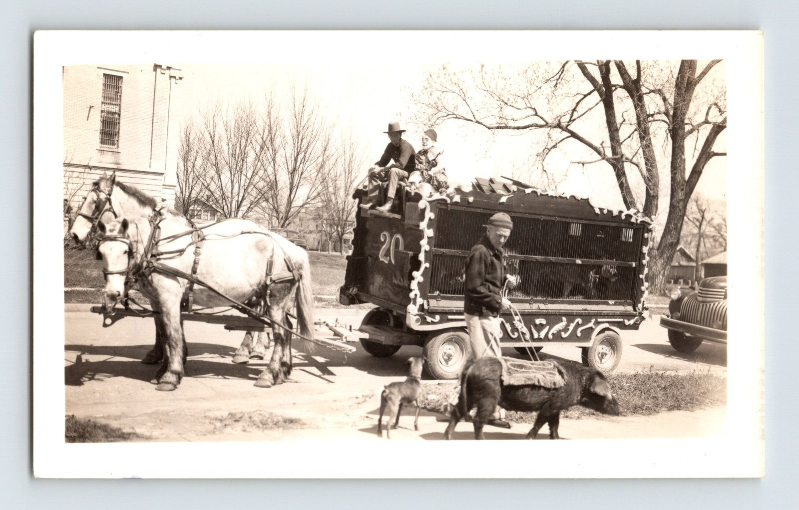 Steven Brothers Circus Hugo Oklahoma 1950 horse wagon pigs vintage photo