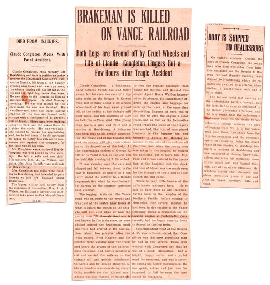 Oregon Eureka Railroad Train Accident Death Newspaper Three Clippings 1906
