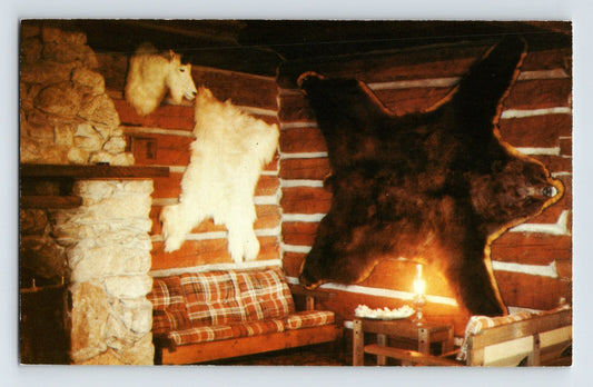 Taku River Glacier Lodge Alaska interior bearskin rug log cabin fireplace 1960s chrome postcard