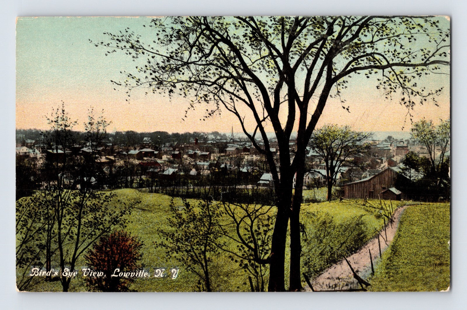Lowville New York bird eye view downtown hillside path 1910s postcard