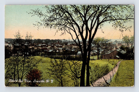 Lowville New York bird eye view downtown hillside path 1910s postcard