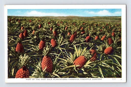 Hawaii Dole pineapple plantation rows fruit field agricultural landscape 1930s postcard