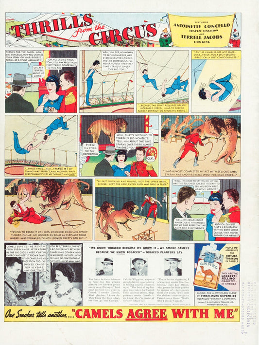 Camel Cigarettes 1938 circus comic strip Thrills from the Circus vintage print ad