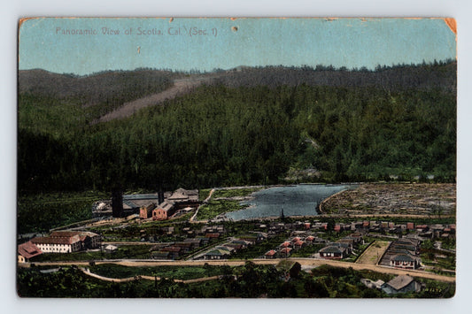 Scotia California panoramic mill town aerial view with lumber operations 1910s postcard