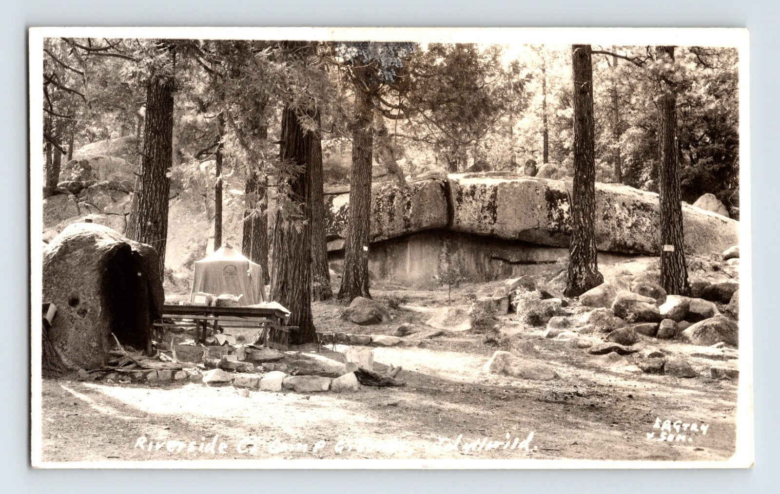 Vintage black and white photo of a natural landscape with trees, rocks, and a bench.