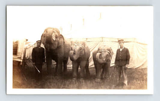 Bud Anderson Circus elephants trainers lineup 1935 circus tent vintage photo