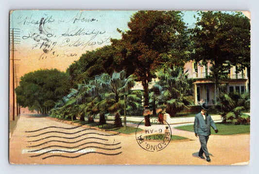 New Orleans Louisiana St Charles Avenue 1907 Postcard Posted Undivided Back