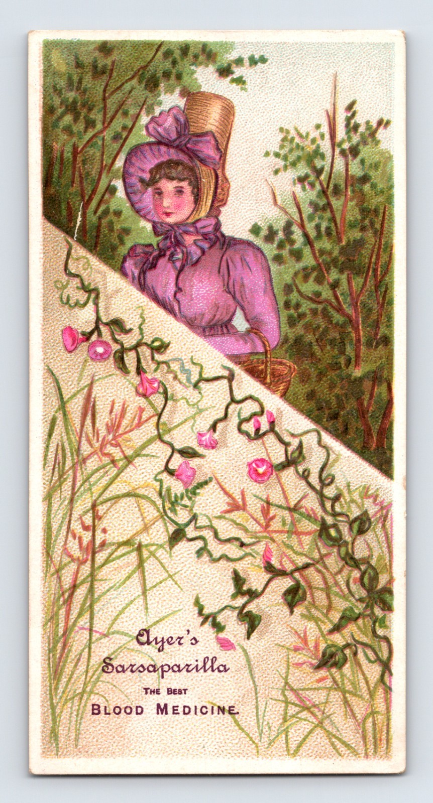 Victorian trade card for Ayer’s Sarsaparilla featuring a woman in a bonnet gathering plants beside decorative botanical vines and medicinal advertising text.