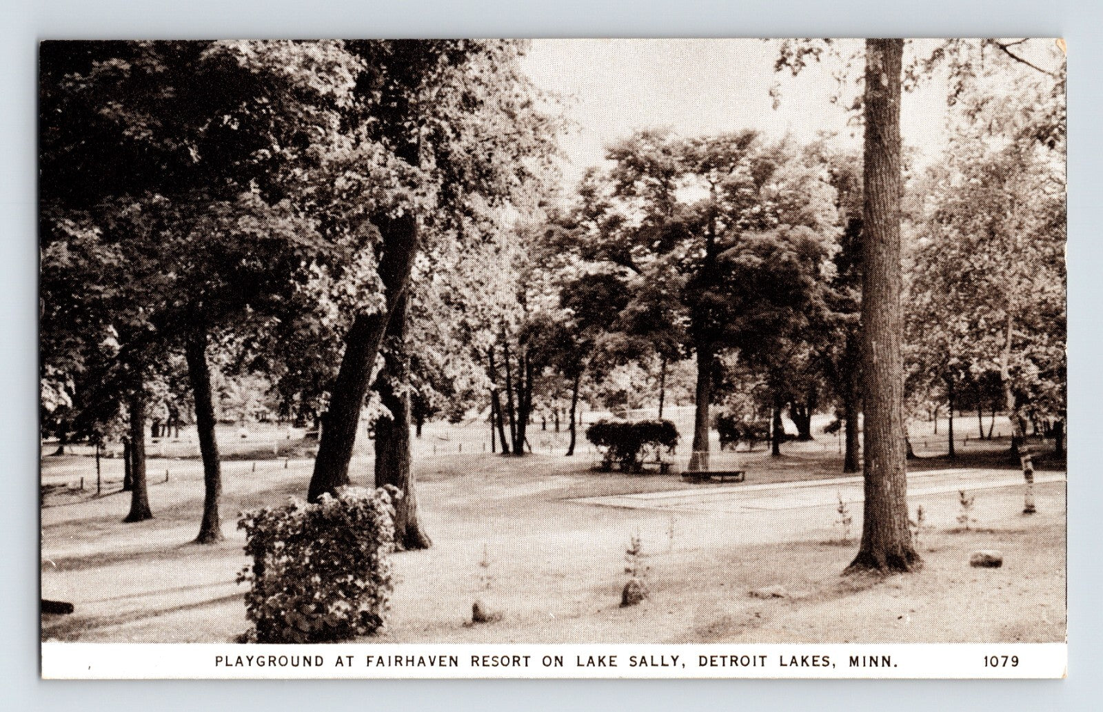 Detroit Lakes Minnesota Fairhaven Resort playground Lake Sallie real photo postcard
