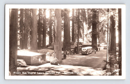 Real photo postcard view of Lane’s Redwood Flat bus stop along the Redwood Highway in Mendocino County, California, with 1940s automobiles parked among towering redwood trees.