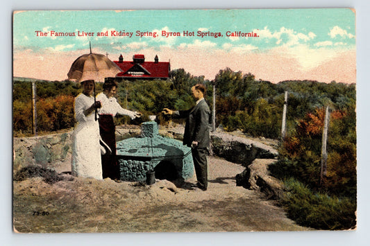 Byron Hot Springs California Liver and Kidney Spring 1910s Postcard Posted