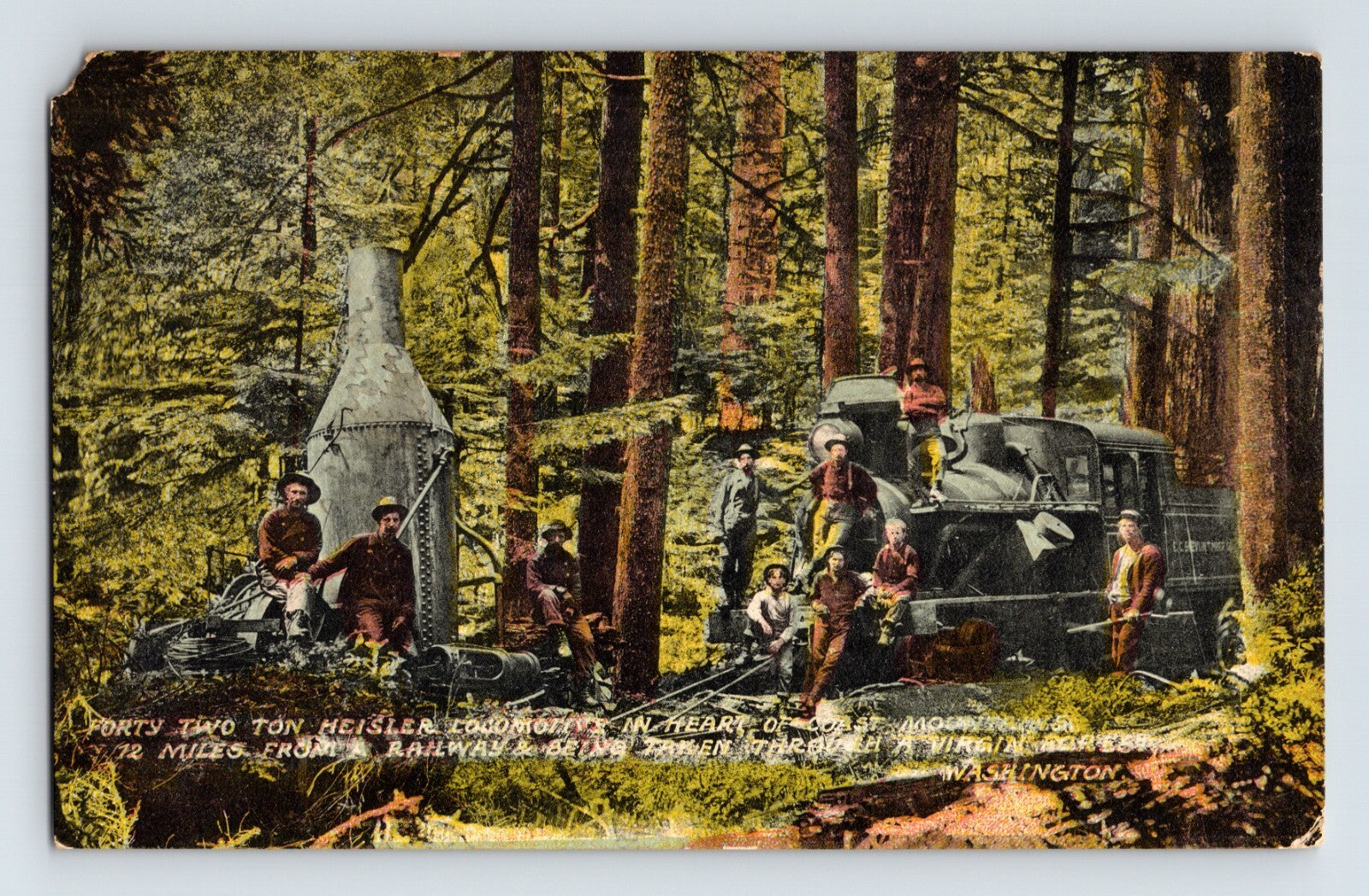 1909 Heisler logging locomotive in Washington forest with crew posed beside geared railroad engine among tall timber, posted divided back postcard