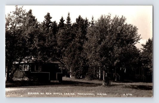 Macwahoc Maine Red Apple Cabins wooded roadside cabins 1940s RPPC postcard