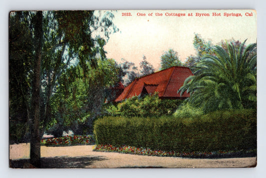 Red roof cottage surrounded by palms and manicured hedges at Byron Hot Springs resort in California, early 1900s postcard garden setting