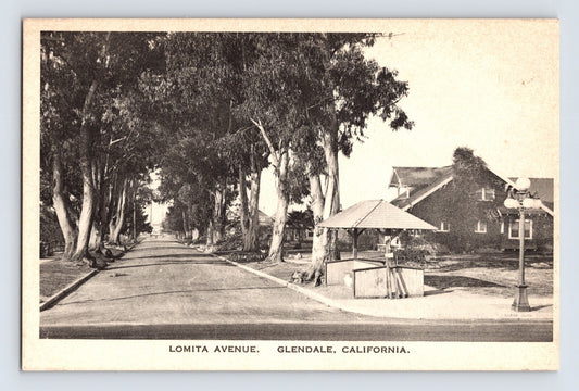 Glendale California Lomita Avenue tree lined residential street bungalow house 1920s divided back postcard front view