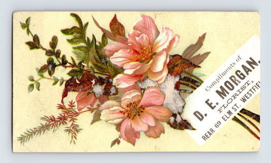 Westfield Massachusetts D E Morgan florist Victorian trade card with floral bouquet illustration pink blossoms and greenery 1890s advertising card