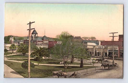 Healdsburg California plaza square courthouse park horse carriage street scene postcard
