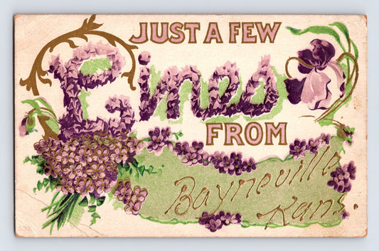 Bayneville Kansas greeting postcard floral design violets hand colored Just a Few Lines From early 1900s