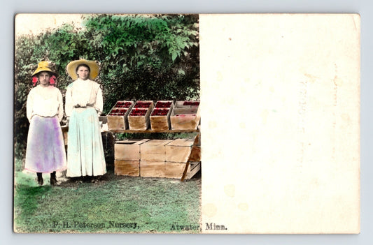 Atwater Minnesota P H Peterson Nursery 1910s RPPC Postcard Unposted Tinted