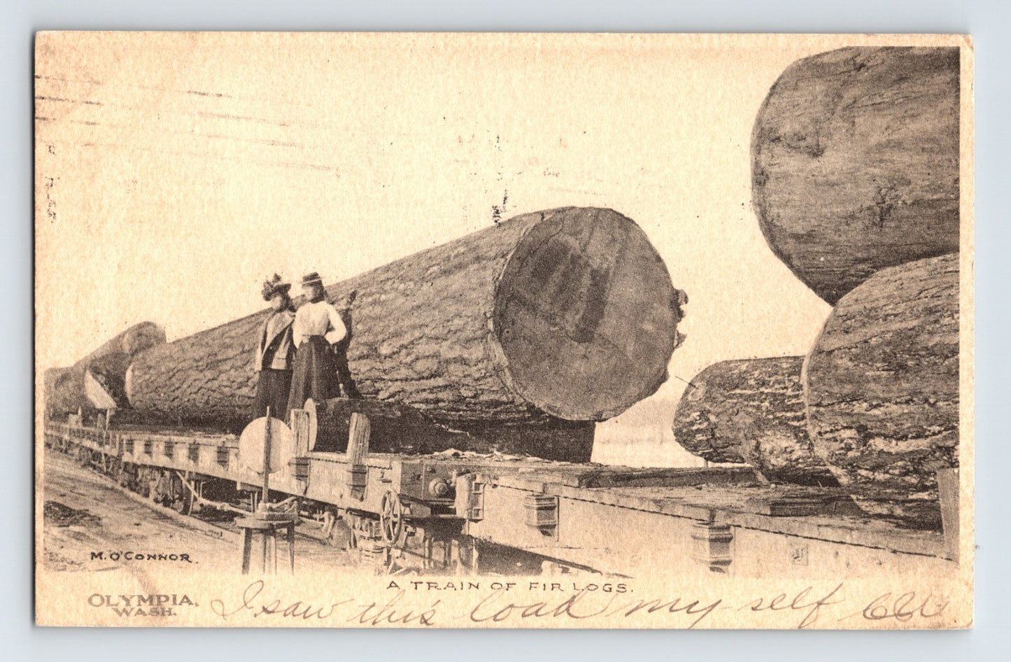 Olympia Washington logging train fir logs railroad 1907 workers on railcars