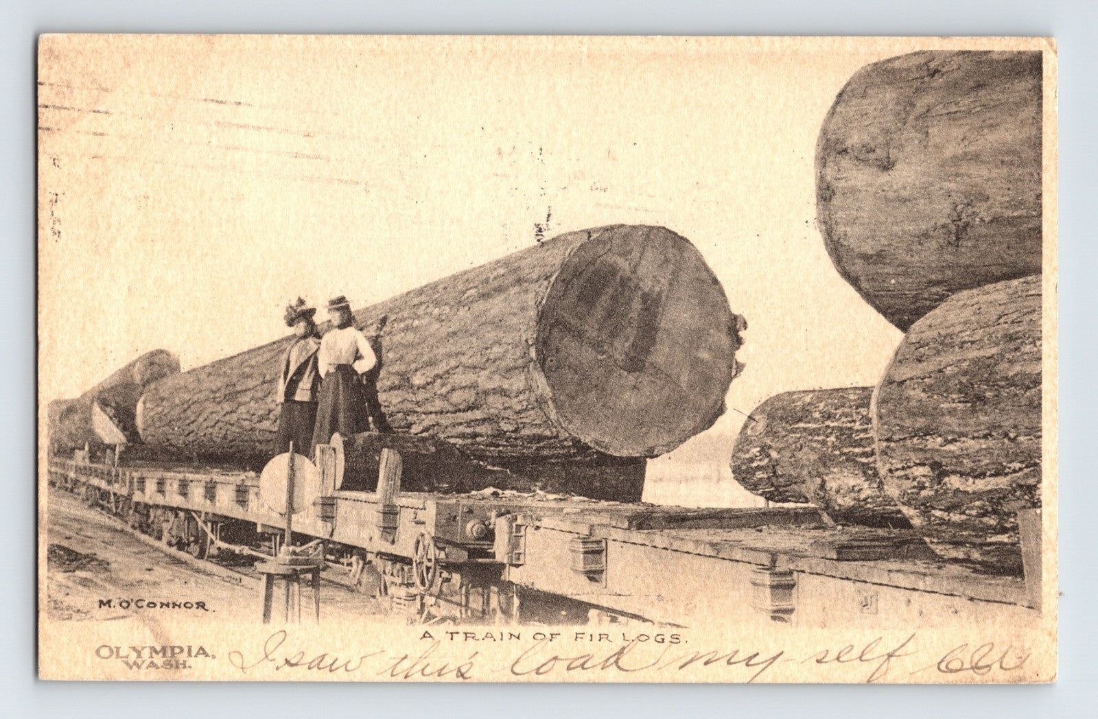 Olympia Washington logging train fir logs railroad 1907 workers on railcars