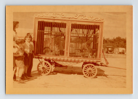 King Bros Circus 1950s Photo Wagon Animal Cage - 3.5 x 5