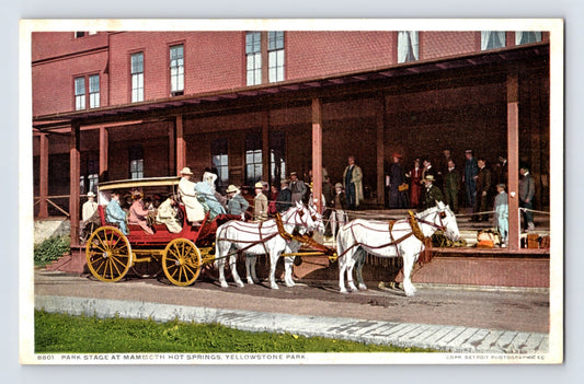 Yellowstone Wyoming Mammoth Hot Springs park stage horse carriage tourists 1910s postcard