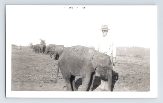 1956 Kelly Miller Circus baby elephant trainer Hugo Oklahoma photograph showing handler with line of elephants in open field